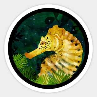 Yellow Seahorse Sticker